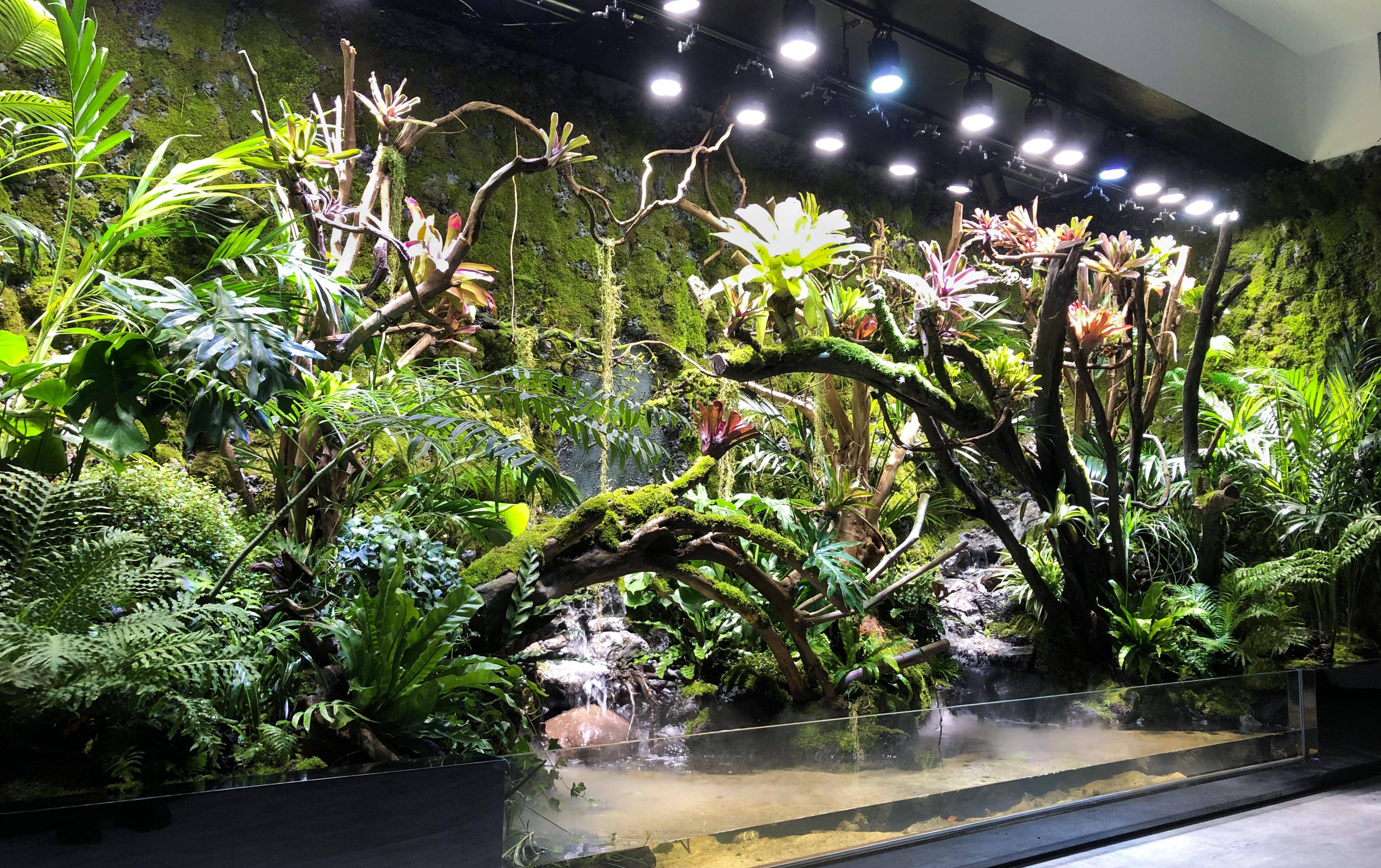 纯天然室内加湿器还能美化环境这样的雨林缸你喜欢吗