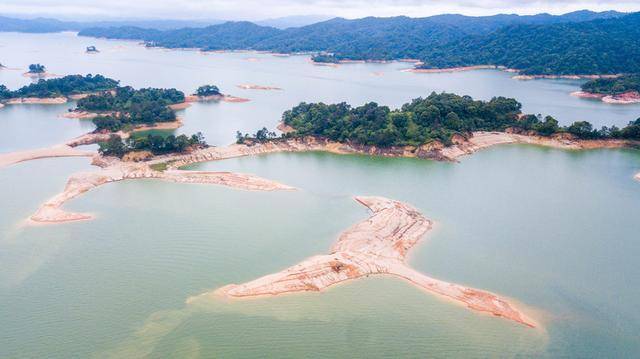 这里是华南地区最大的人工湖，四季常绿，航拍的风景仿佛是幅画