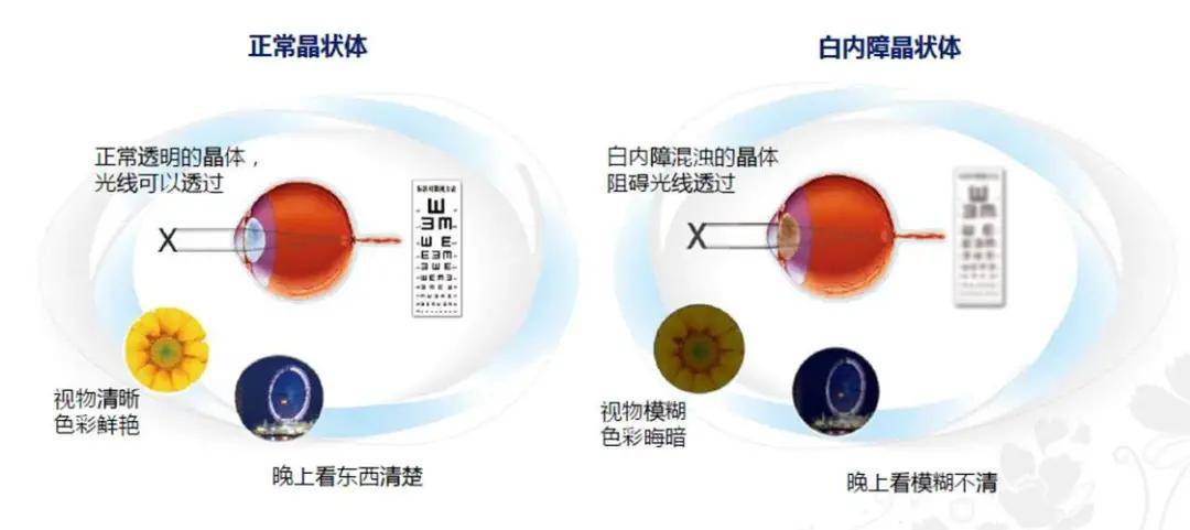 14bdeb2bb8a5471cbcc74251f8af303c.jpeg