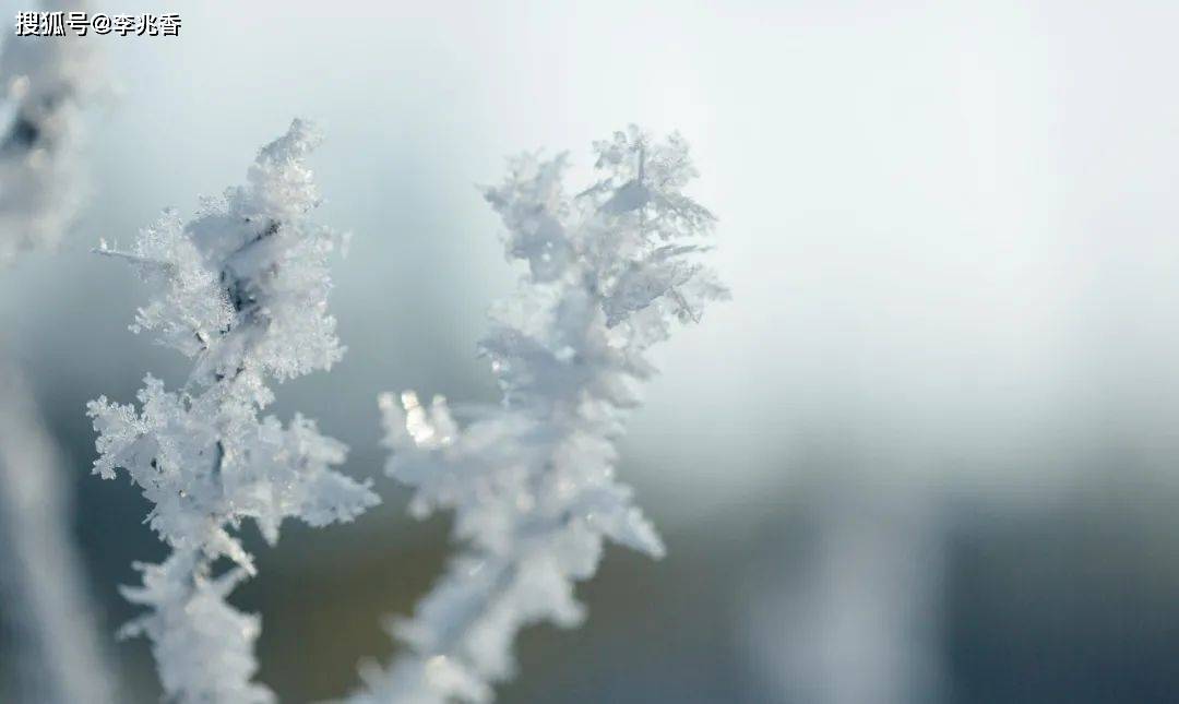 小雪早安问候语,句句温馨,愿你快乐幸福整个冬天