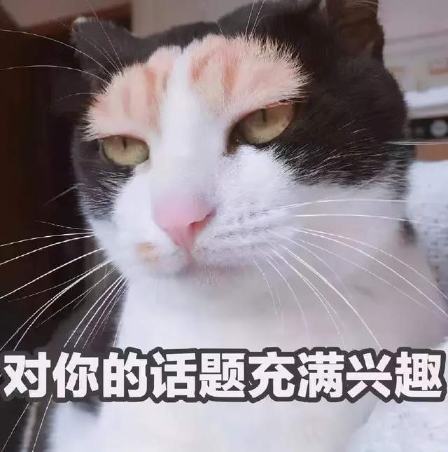 e2ff6554b9c14ae3b603446b06297c2e.jpeg