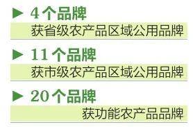 品牌建设的三大理论 89b37946740347d5ad324816423c2b8f.jpeg