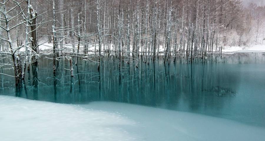 家电业突然没了激情斗志，才是市场陷入困境的根源！-家电圈官网