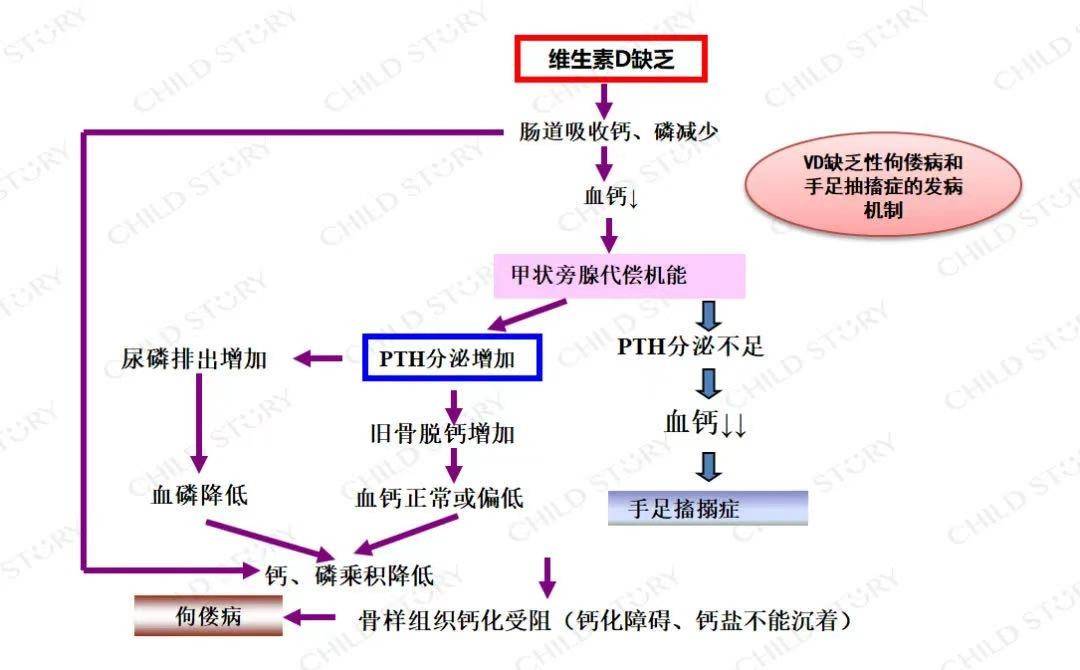 童年故事维生素d3要补到几岁?不是2岁,不是青春期,而是.