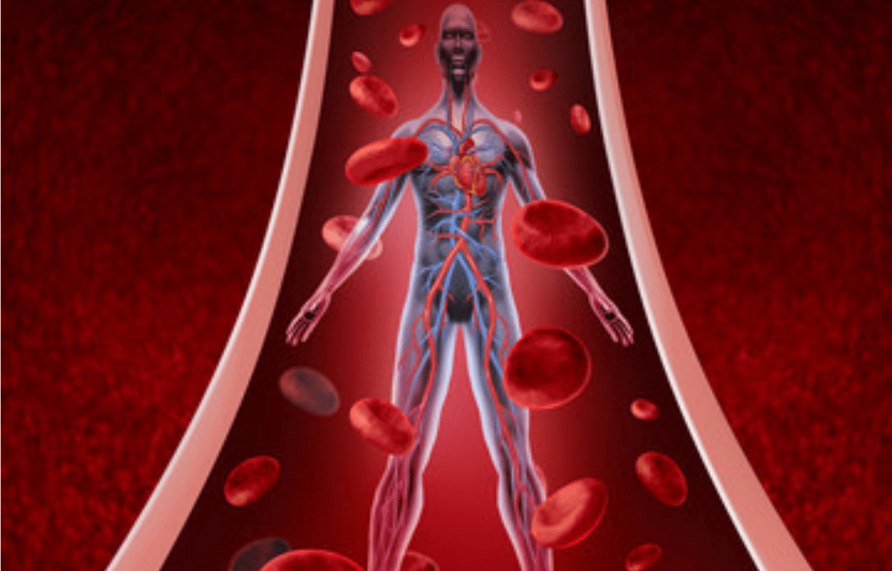 血液细胞知多少？——一文带你了解人体血液细胞 – 文章管理后台