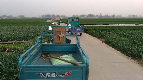 2020年电动摩托车排名_2020年电动车品牌排行,爱玛电动车紧跟时代潮流