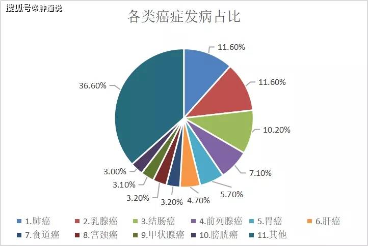 肺癌脑转移后怎么办