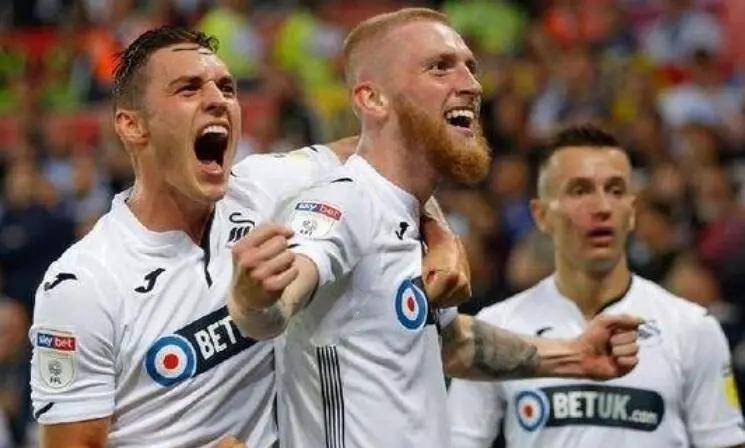 斯旺西排名_斯旺西大学(3)