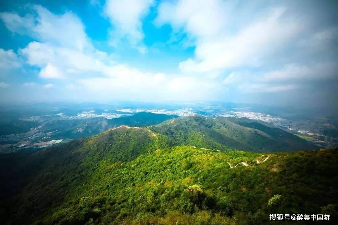 原创探访羊台山森林公园,深圳多条河流水源地,山泉溪流,植被繁茂