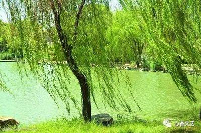 753403fce22d40bab623e73ab63e0e99.jpeg