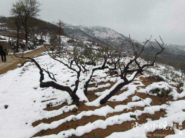 一场雪后,最美山村雪景图来了,宛若仙境,又仿佛回到小