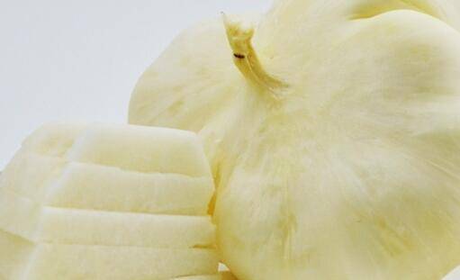3072db1a34994bf1a7af0e56a822e55c.jpeg