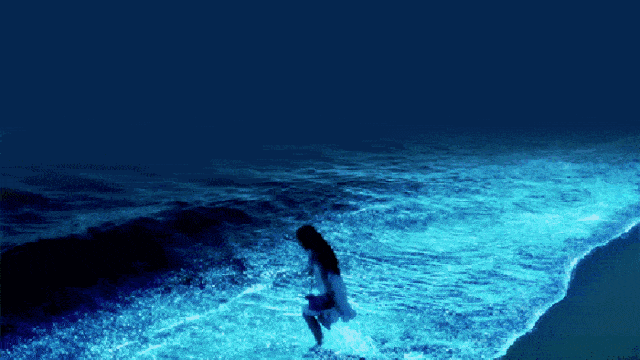原创 “蓝眼泪”频频光临的平潭，满足你对海岛所有的想象