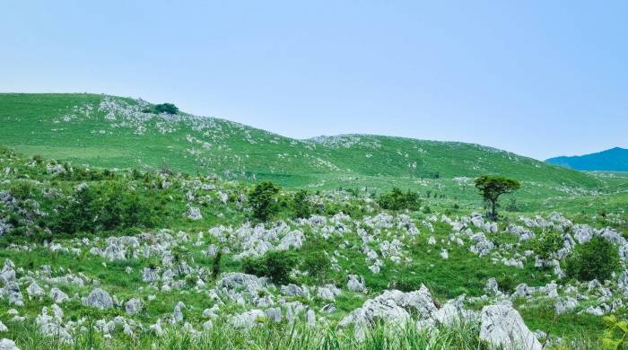 家电市场永远有赚钱机会,就看厂商如何把握拐点?-家电圈官网