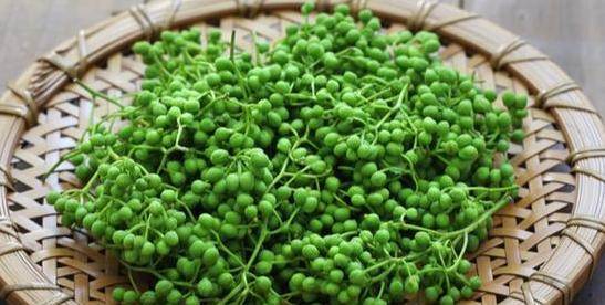 什么时候种花椒最合适 d43c0a21085b467d81d57b493aab3851.jpeg