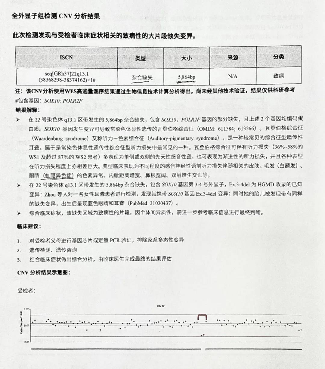 耳聋基因检测突变gdp_耳聋基因检测结果(2)