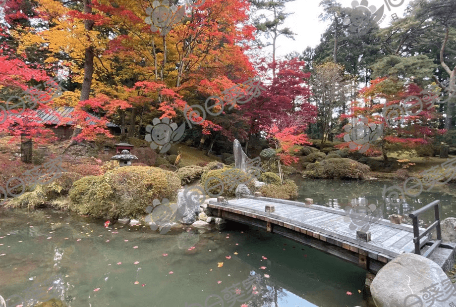 2020日本各地区排名_2020年日本人想居住的日本街道排行榜