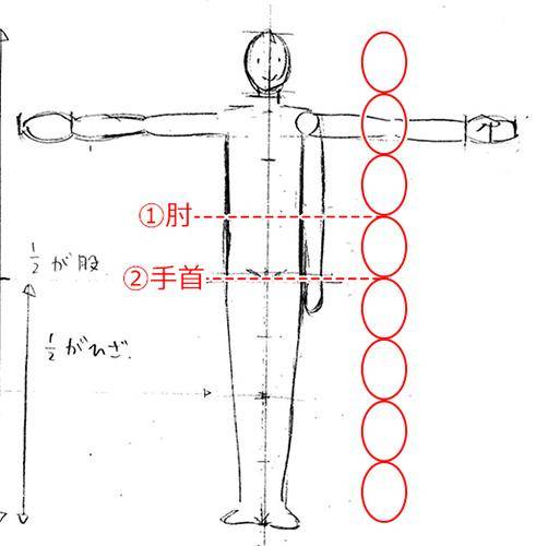 怎么确定人体比例绘画怎样保持人体平衡