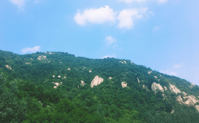 大庆市大同区2020年GDP_黑龙江大庆市大同区