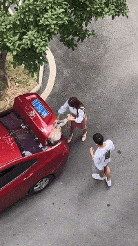 搞笑gif段子:你们都是坏人,我想睡觉都这么难吗?