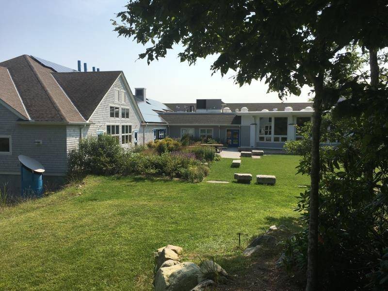 德克萨斯大学达排名%_全美国际生录取率最高大学!这三所录取率竟达99%!