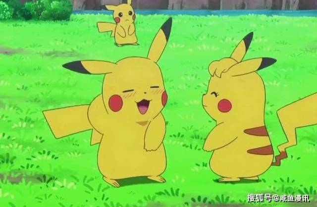 神奇宝贝:细数皮卡丘的"后宫,卷卷耳是"正宫"
