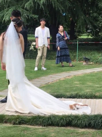 婚纱照躺地上