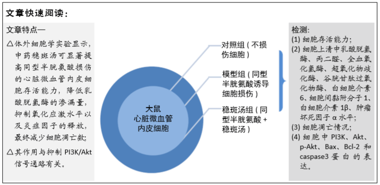 1d8982dba2f04c44a4cbc35a0b1f0e91.png