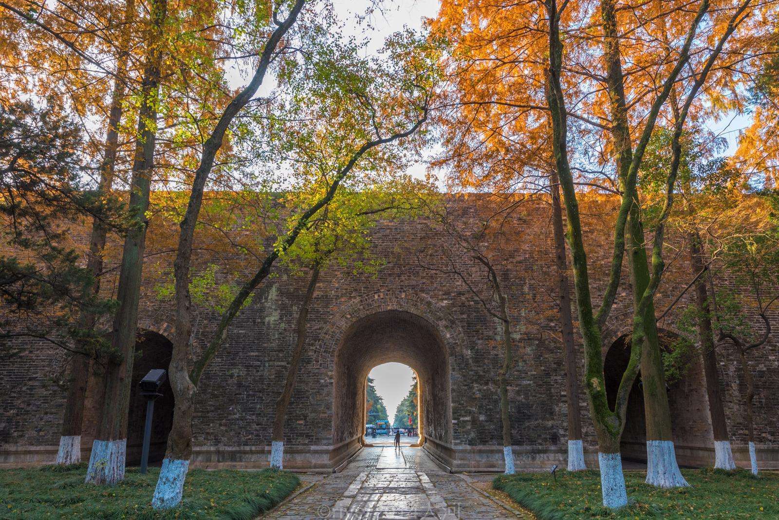 藏于南京闹市中的宫殿，北京故宫仿的就是它，如今却只剩一个城门