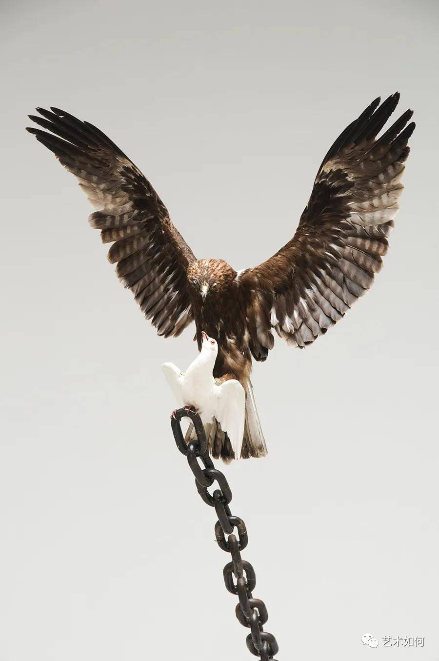 意大利藏家想收藏他的手稿，他却拒绝了......