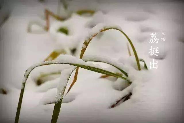 今日“大雪”，别忘了陪孩子做这6件事！（转给