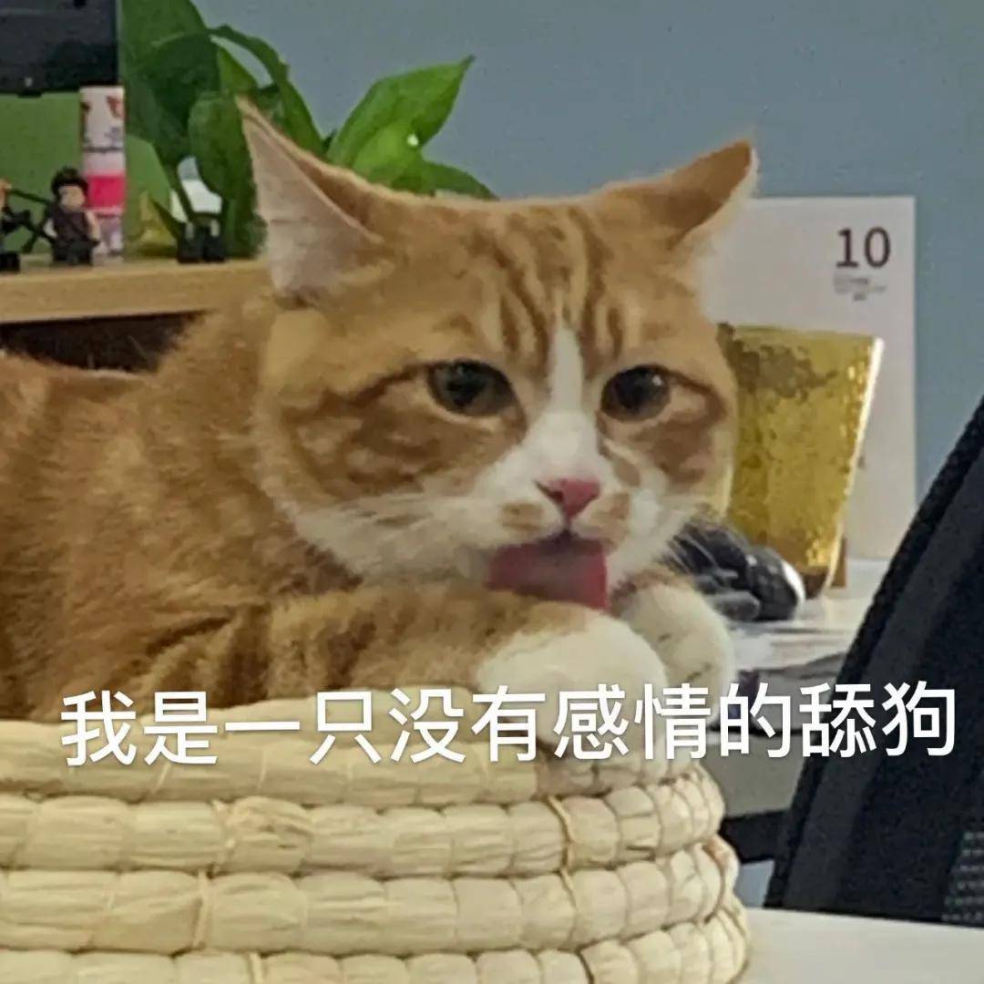 cf1a52f3ff634fb39915af2d6bc4e665.jpeg