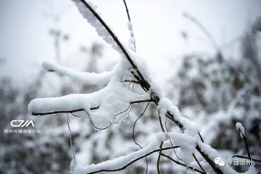 大雪!崇州雪大!