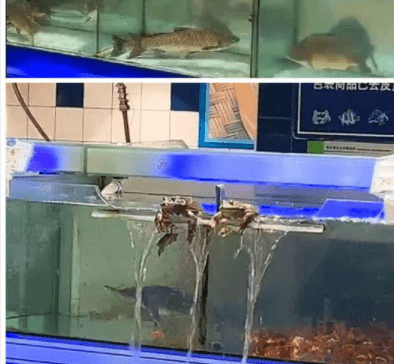 原创
幽默段子:公交车上一妹子拿着一包盐,看到一空位就把盐放上去