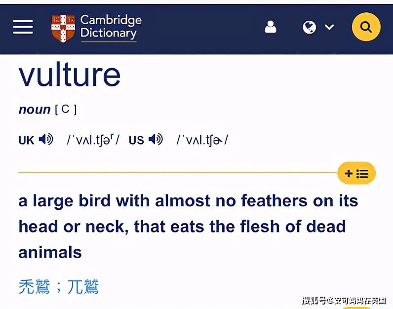 (22)v,vulture,我们学过vulture(秃鹫),请大家看看秃鹫的英文解释