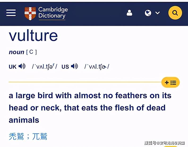 Vulture,tucan (22)v,vulture,我们学过vulture(秃鹫),请大家看看秃鹫的英文解释