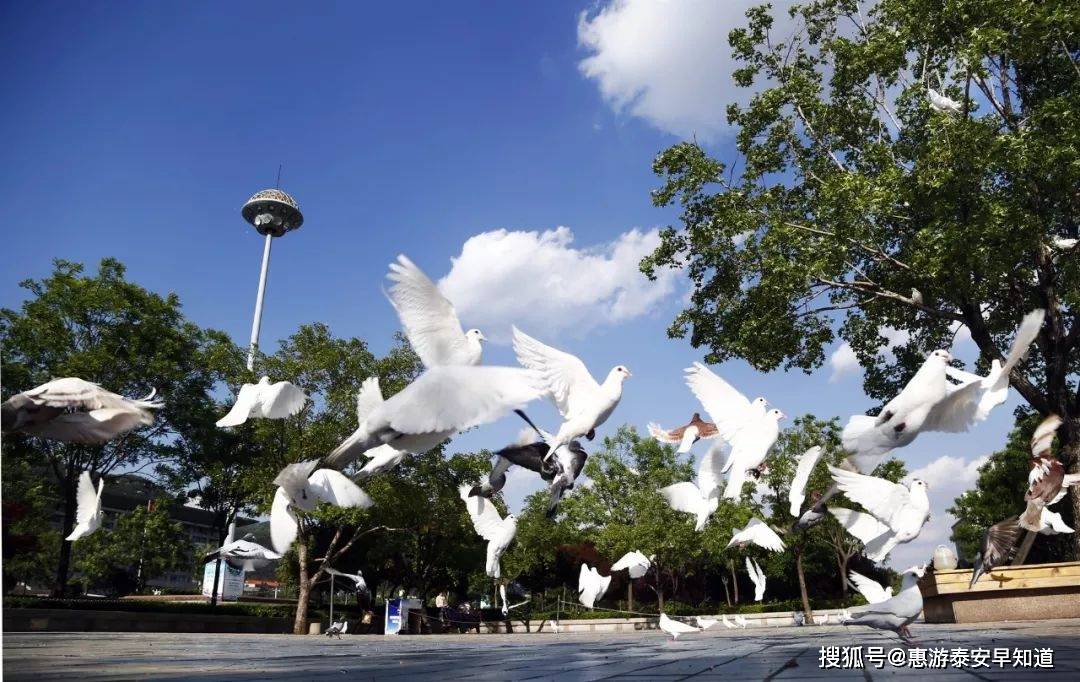 泰安市乡镇gdp_泰安市乡镇(2)