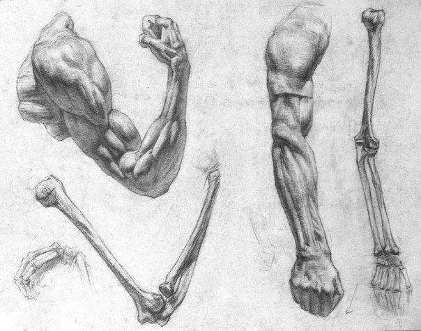 初学画画如何画好结构素描