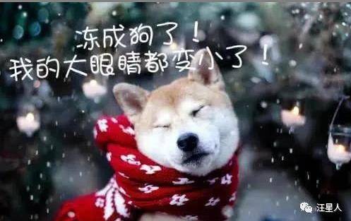 狗为啥怕热不怕冷 0cce1ee9935d4ab7ac2e4c5ada6b5023.jpeg