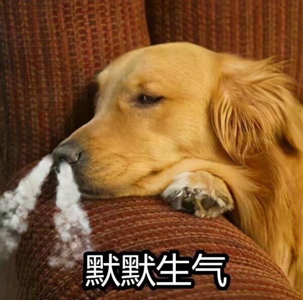 8197a3db456c4464890c0a4363ced206.jpeg