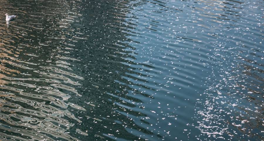 今年冬天的家电业注定不会太冷！-家电圈官网