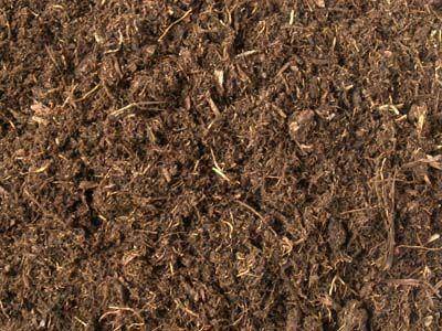 
植物生长的基础——土壤与肥料-九州体育