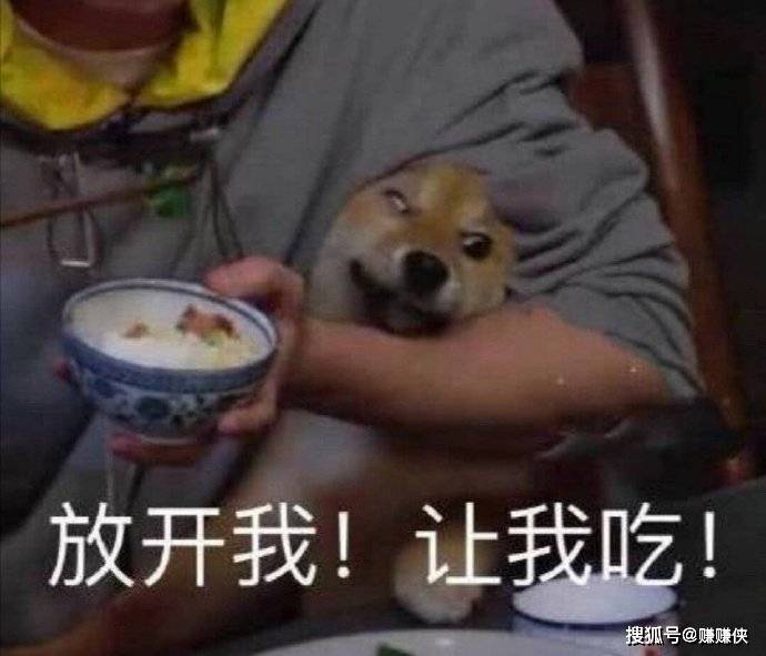 可爱表情包图片:我生气的时候,会这样疯狂摇头