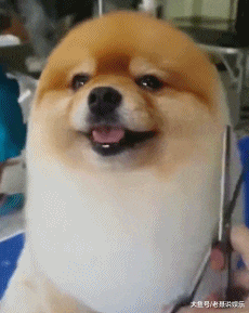 b7cfb3d657d14d6b8dbcd4e97db76468.gif