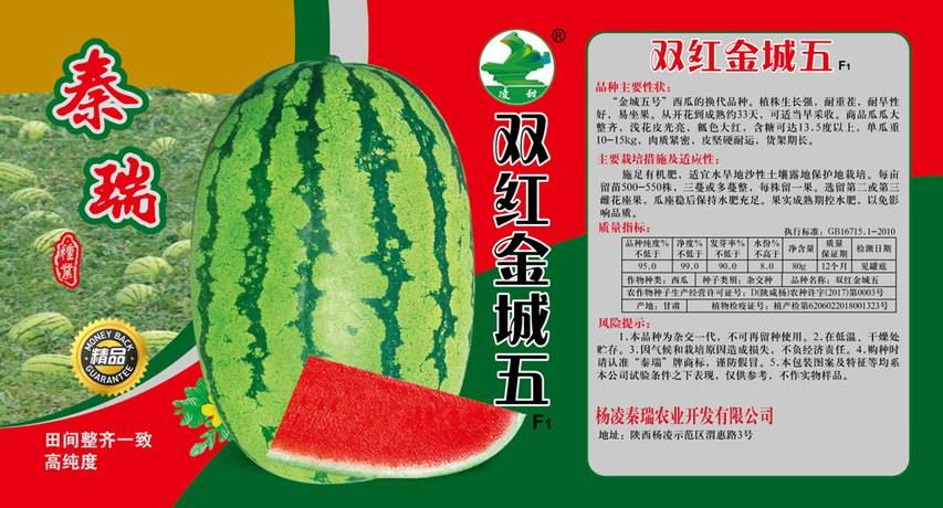 双红金城五西瓜种子耐重茬耐旱西瓜品种
