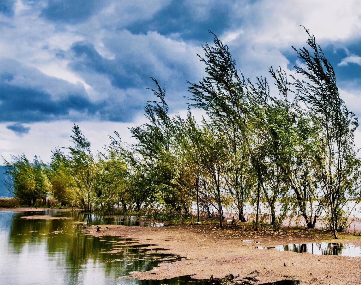 丽江第一湿地公园，究竟有何魅力，每年冬季过亿游客前来游玩？