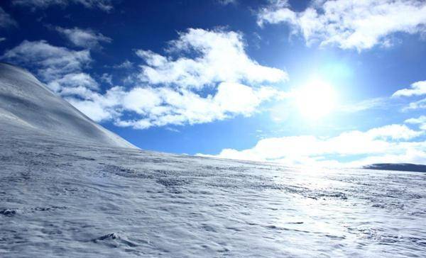 市面积排行_山东各市人均工资排行榜