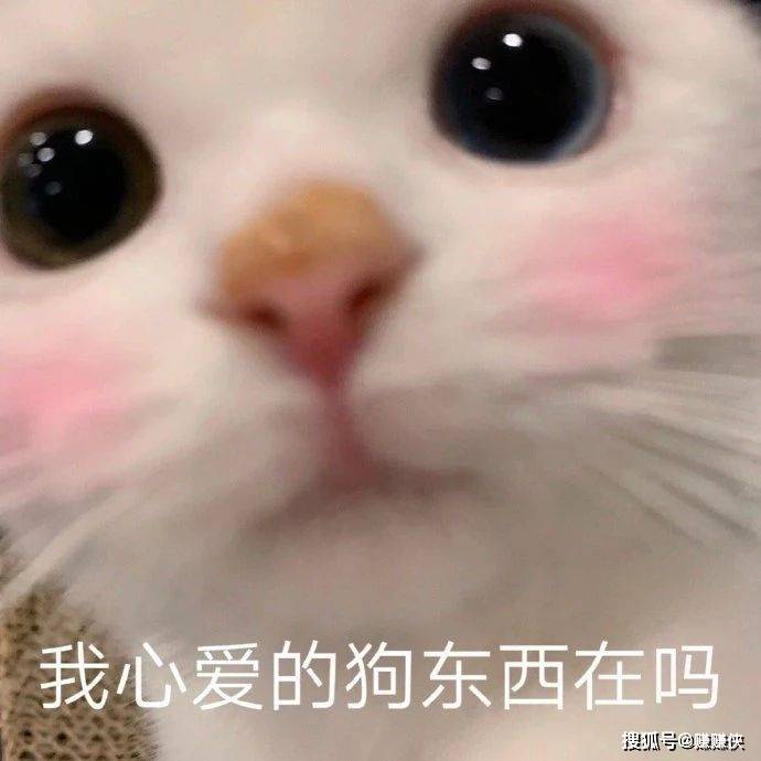 热门表情包图片:气扁了,委屈到变形