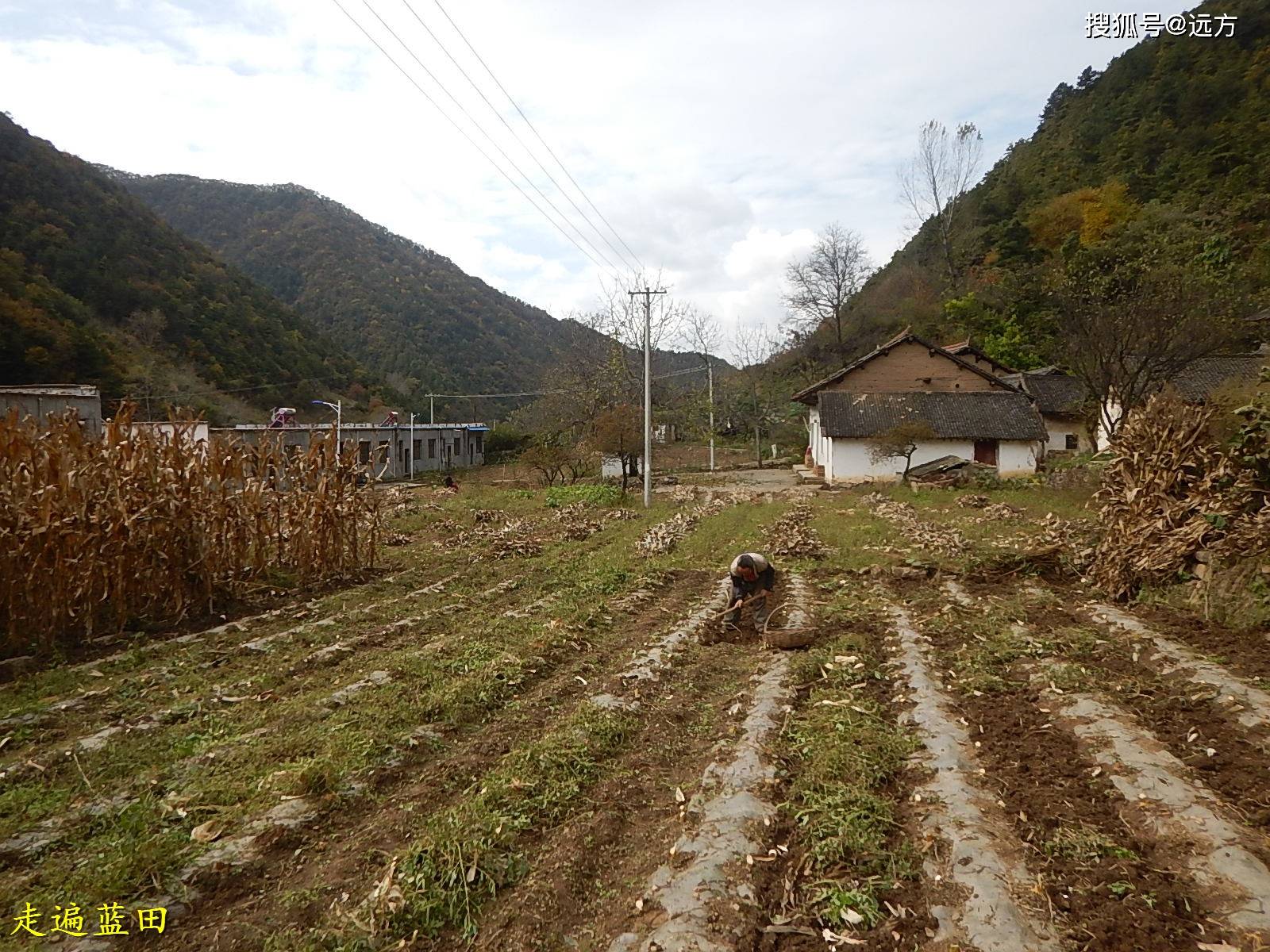 灵川县2020年乡村人口_灵川县宁冬求(2)