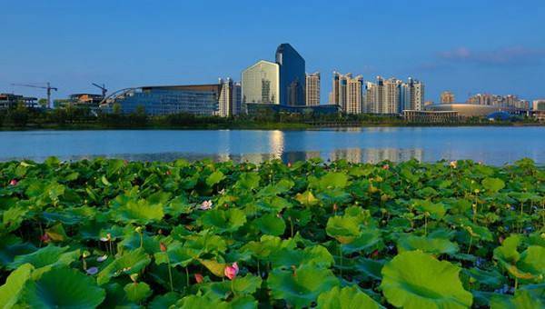 贵港2020gdp_贵港夜景2020(2)